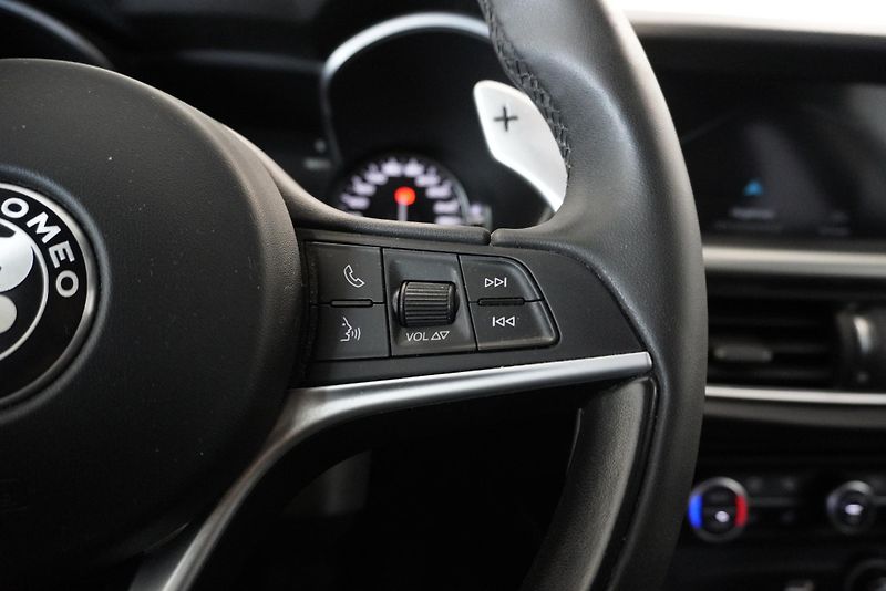 Alfa Romeo Stelvio (2018) STELVIO 2.2D Q4 AUTOMAT - fotka 17 z 35