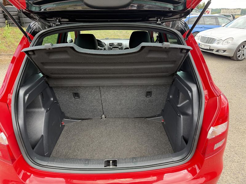 Škoda Fabia 1.2 TSI MONTE CARLO - fotka 10 z 25