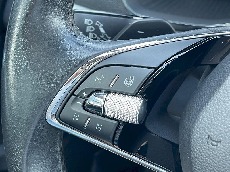 Škoda Octavia (2020) 2.0 TDI 110kW DSG Style Plus c - fotka 8 z 35