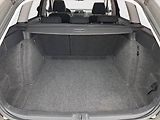 Škoda Octavia (2009) 1.4 TSI, Park. senzory - náhled 13