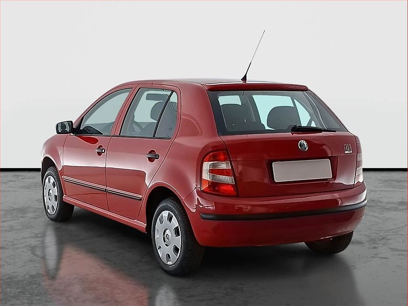 Škoda Fabia (2007) 1.2 12V, oblíbený vůz - fotka 4 z 13