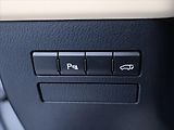 Lexus NX 300h 2,5 145kW 4WD Premium AUT - náhled 18