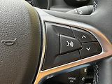 Dacia Duster (2021) 1.0/74kW+LPG*4x2* 1.Maj.*NAVI  - náhled 14