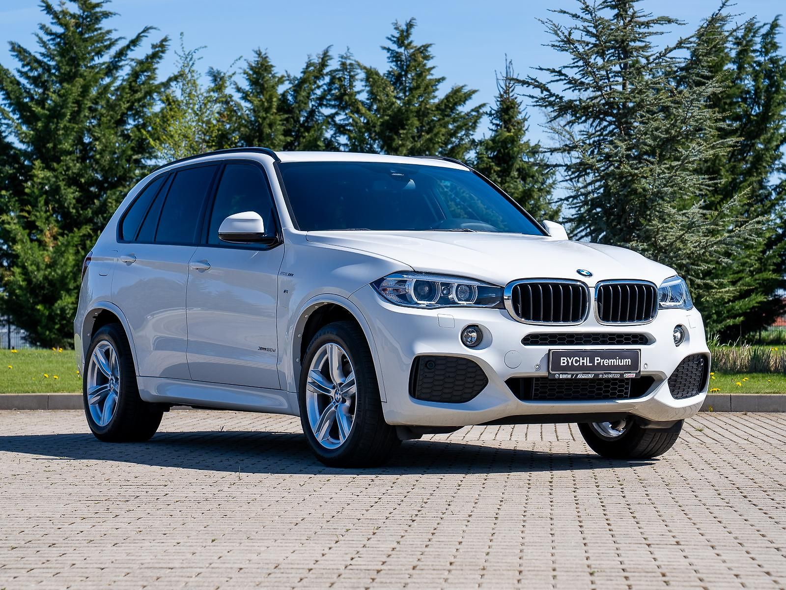 BMW X5 xDrive30d (F15) M Sport Paket