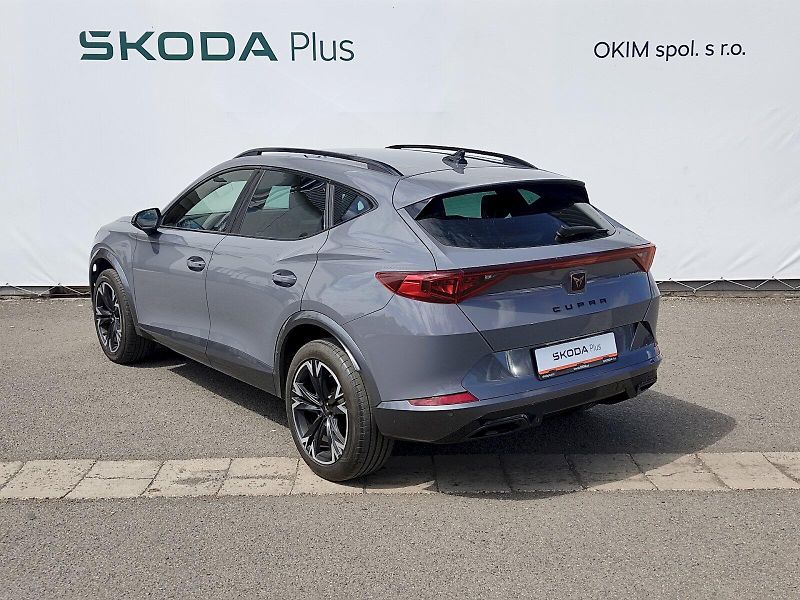 Cupra Formentor (2021) 2,0 tsi 140 Kw DSG 4Drive - fotka 36 z 39