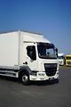 DAF LF (2019) 260 / ACC / EURO 6 / KONTENER  - náhled 21