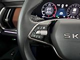 Škoda Kodiaq (2025) 2.0TDI 142kW 4X4 EXCLUSIVE WEB - náhled 10