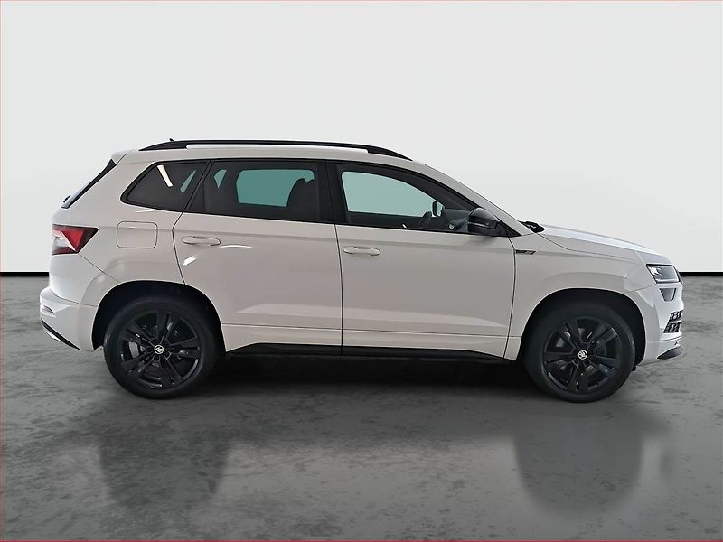 Škoda Karoq (2019) Ambition Plus 2.0 TDI - fotka 6 z 19