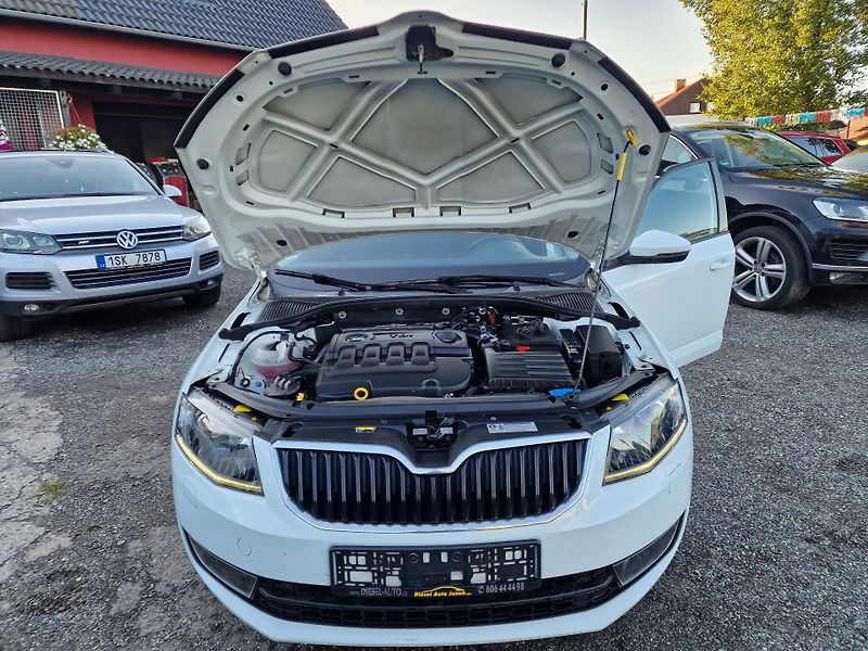 Škoda Octavia 1,6TDI 81KW JOY NAVI - fotka 19 z 19