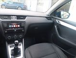 Škoda Octavia (2018) Ambition 1.0 TSI, Tempomat - náhled 8