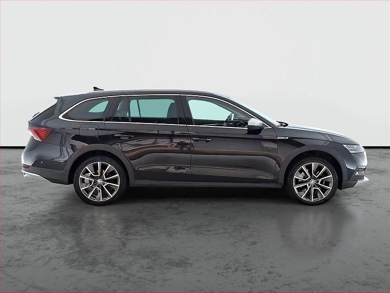 Škoda Octavia (2021) Scout 2.0 TDI - fotka 6 z 19