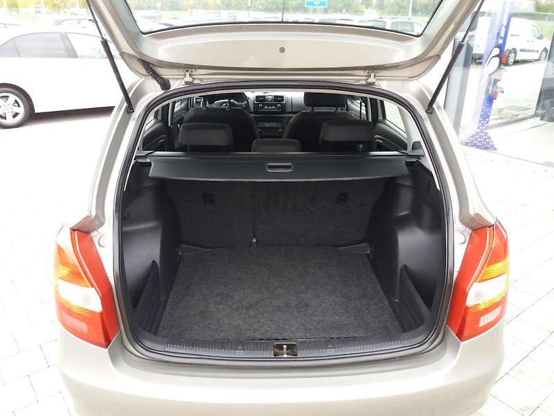 Škoda Fabia 1.2TSi,77kW,DSG,DIG.KLIM,VÝHŘE - fotka 8 z 36