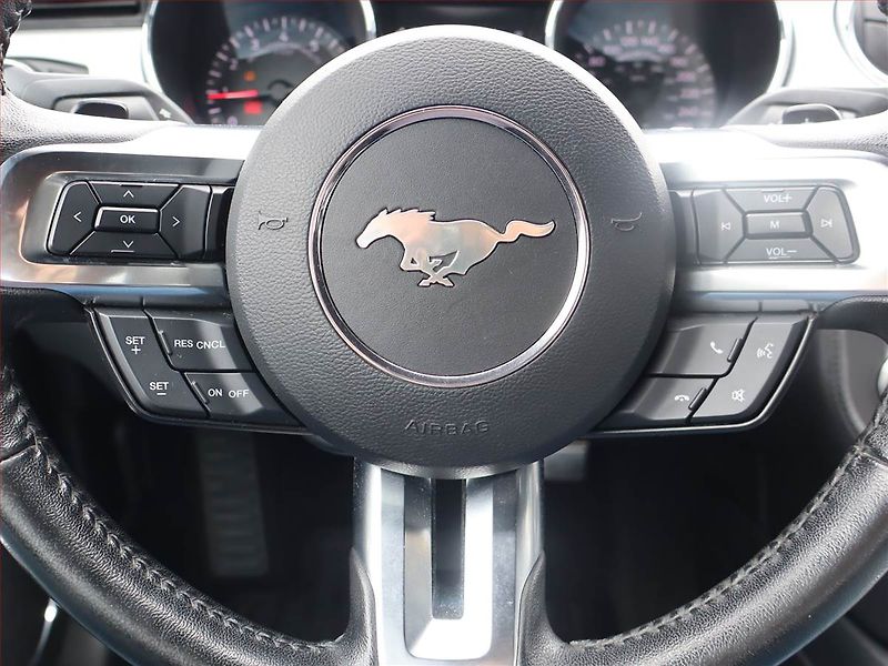 Ford Mustang (2016) 2.3 EcoBoost - fotka 17 z 17