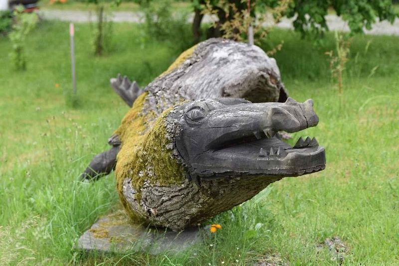Pro ornitologa ráj, pro běžného turistu zážitek. To je Dračí jezero.