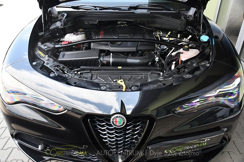 Alfa Romeo Stelvio 2.0T 16V 206kW VELOCE AT8 Q4 - fotka 43 z 44