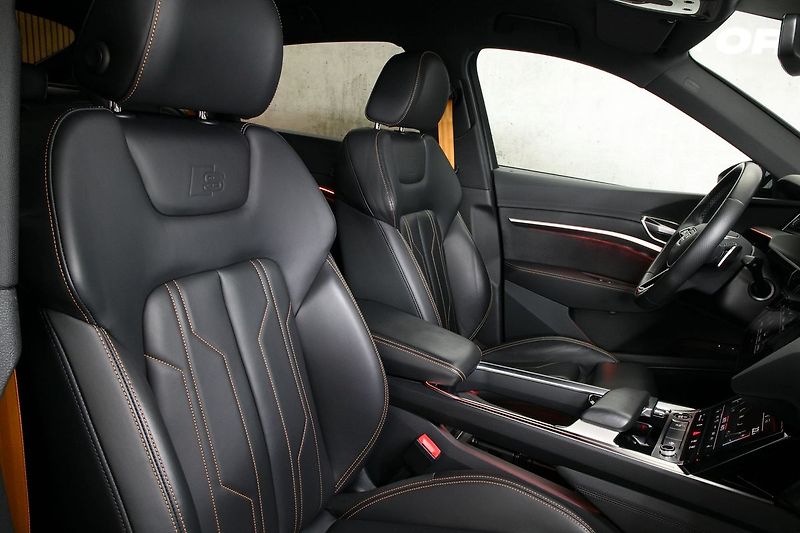 Audi e-tron 55 300kW SB BlackEdit ZÁRUKA - fotka 19 z 48