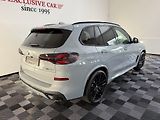 BMW X5 xDrive40d M-PRO Individ. Gar.+ - náhled 3