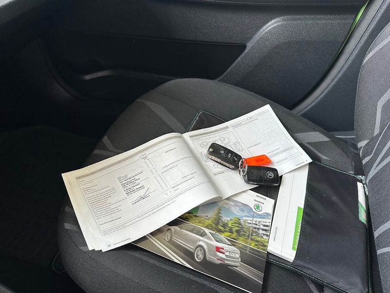 Škoda Fabia (2013) 1.2TSi FRESH,ŠÍBR, SERVISKA - fotka 16 z 20