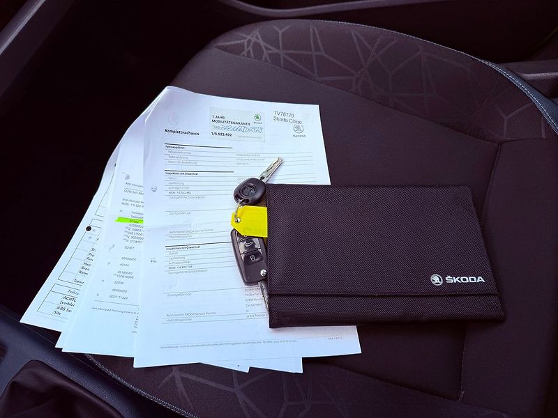 Škoda Citigo 1.0 MPi Fun, Serviska, 1.Maj - fotka 25 z 27