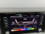 Škoda Kodiaq 2,0 TDI 4X4 147 KW TAŽNÉ PANO - náhled 30