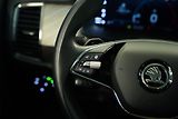 Škoda Kodiaq - náhled 16