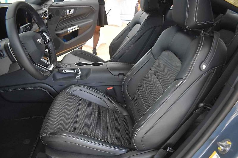 V případě Mustangu zatím nejsou známé výkonové parametry a ani cena