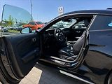 Ford Mustang 5,0 GT V8 330kW 55YearsEdition - náhled 13