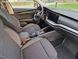 Škoda Octavia (2021) 2.0 TDI, DSG, CZ, DPH - náhled 12