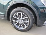 Volkswagen Tiguan 2.0TDi*4x4*7DSG*NAVI*T.ZAŘ - náhled 30