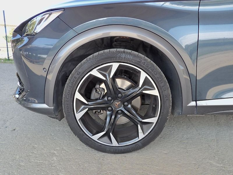 Cupra Formentor 1.5TSI DSG Virtual LED ACC - fotka 32 z 35