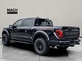 Ford F-150 (2026) Raptor - náhled 1