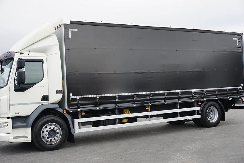 DAF LF (2019) 290 / E 6 / FIRANKA + WINDA /  - fotka 15 z 44