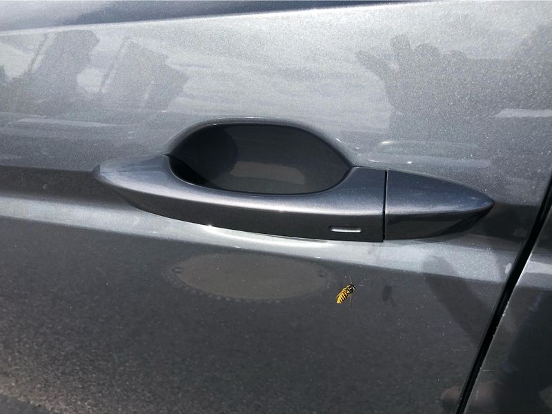 Volkswagen Touran 1,5 TSI - fotka 26 z 29
