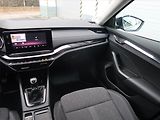 Škoda Octavia (2022) 2.0 TDI - náhled 8