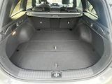 Kia Ceed (2025) Edice 30 1.5 T- GDI 103 kW 6°m - náhled 31