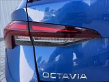 Škoda Octavia 2,0 TDI DPH 1.maj. původ ČR - náhled 15