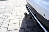 BMW X7 40d xDrive/Mpaket/AT9/22/340PS - náhled 19