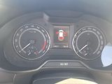 Škoda Octavia (2015) 2,0 TDI 110 kW SCOUT - náhled 14