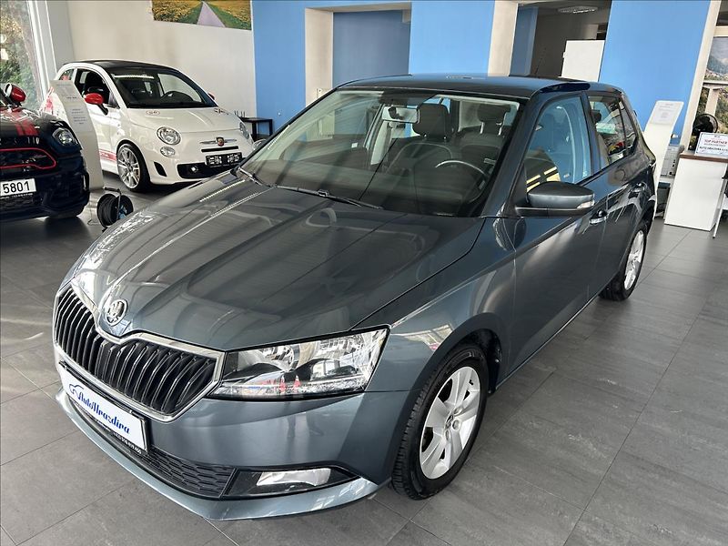 Škoda Fabia 1,0   TSI 70kW,SERVISKA,PŮVOD - fotka 3 z 23