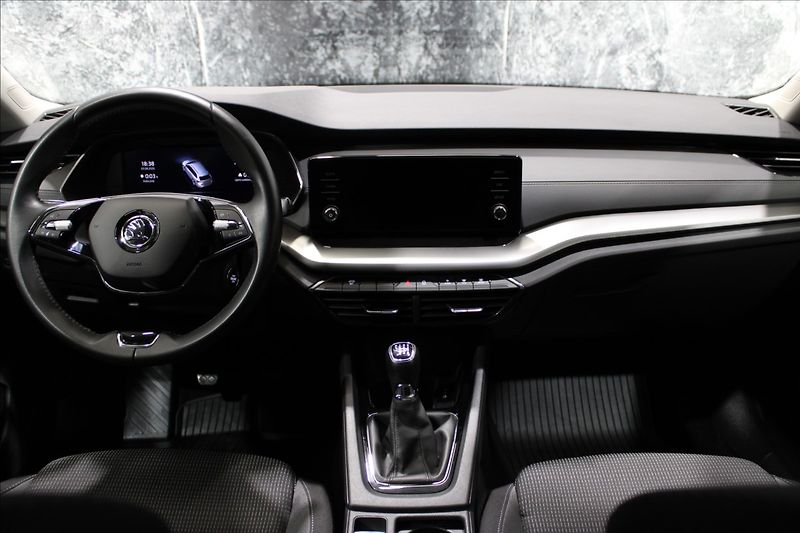 Škoda Octavia 2,0 TDI Ambition 1.majitel CZ - fotka 29 z 32