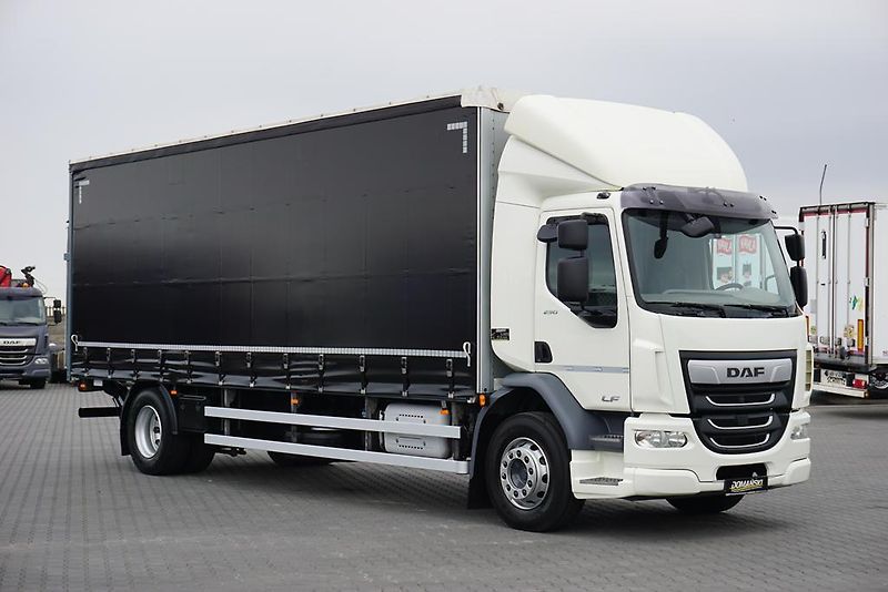 DAF LF (2019) 290 / E 6 / FIRANKA + WINDA /  - fotka 1 z 44