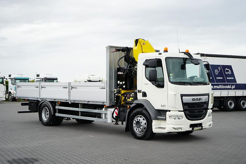 DAF LF (2014) 250 / SKRZYNIOWY + HDS / HYVA  - fotka 23 z 56