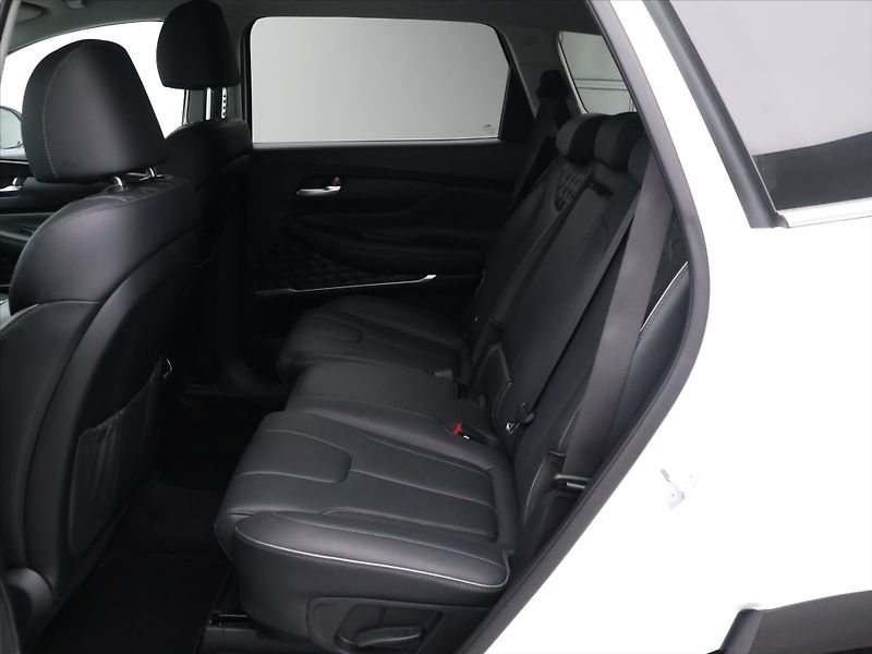 Hyundai Santa Fe 2.2 CRDi 142kW Style CZ DPH - fotka 14 z 29