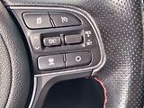 Kia Optima (2017) 1.7CRDi, 2.maj,ČR, AT - náhled 17