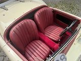 MG Ostatní MGA 1500 Roaster - náhled 9