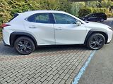 Lexus UX 250h black-white edition, kůže - náhled 8