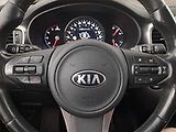Kia Sorento (2016) 2.2 CRDi, 4X4, Automat, Kůže - náhled 19