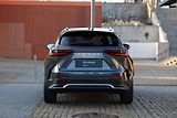 Lexus NX 350h 350H 2,5 HEV F SPORT TOP - náhled 35