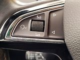 Škoda Octavia TDi 4x4 SERV.KNÍŽKA,CEBIA    - náhled 57