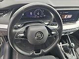 Škoda Octavia IV 1,5TSi Style LED ČR DPH - náhled 12